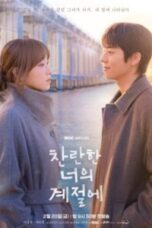 In Your Radiant Season Episode 2